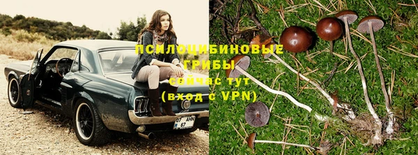 тгк Нягань