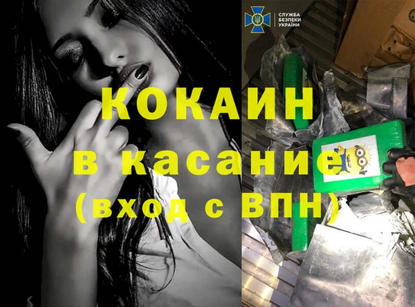 PSILOCYBIN Няндома