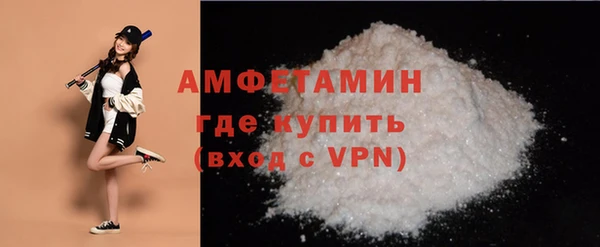 индика Осташков