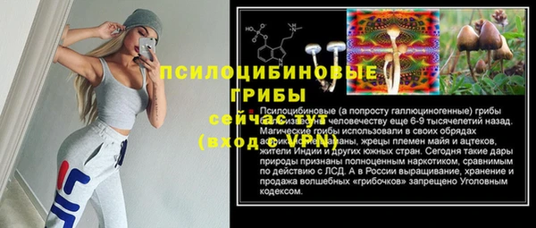 PSILOCYBIN Няндома