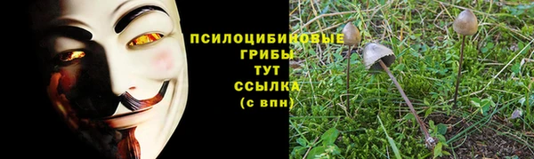 герыч Нязепетровск